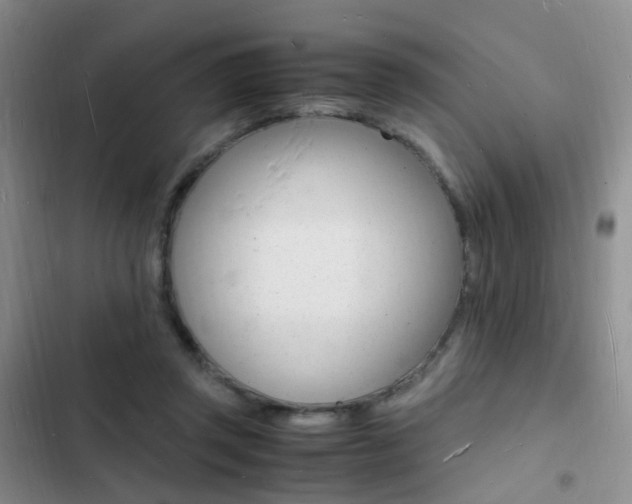 X0000103250357200808281102