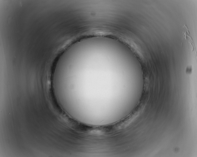 X0000103250358200808281102