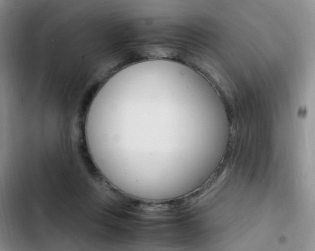 X0000103250359200808281102