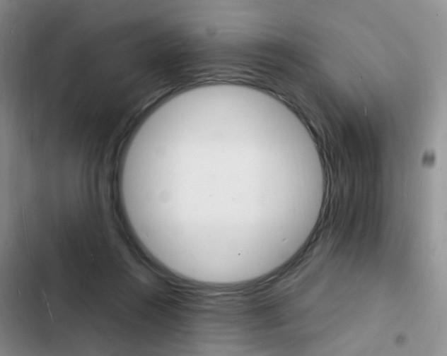X0000103250360200808281102