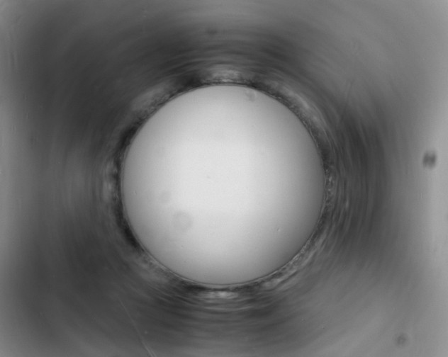 X0000103250361200808281102