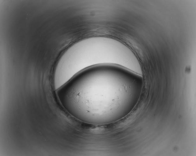 X0000103250362200808281102