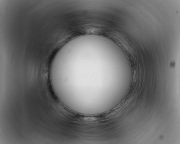 X0000103250363200808281102