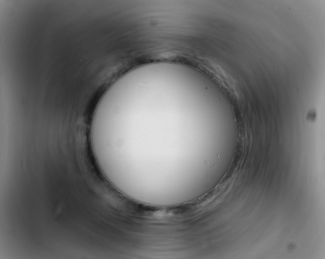 X0000103250366200808281102