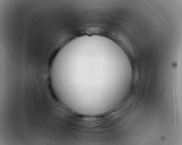 X0000103250367200808281102