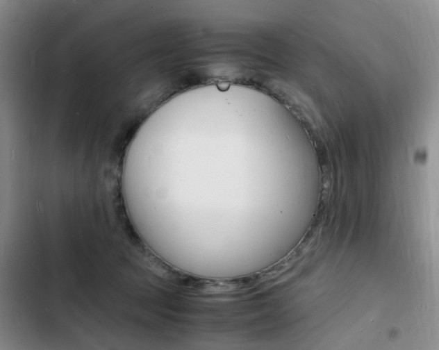 X0000103250369200808281102
