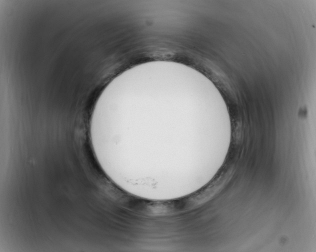 X0000103250370200808281102