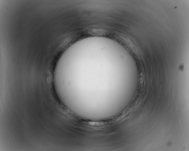 X0000103250371200808281102