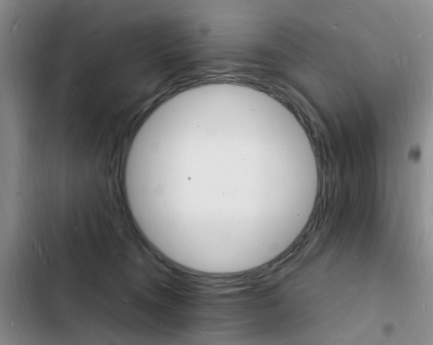 X0000103250372200808281102
