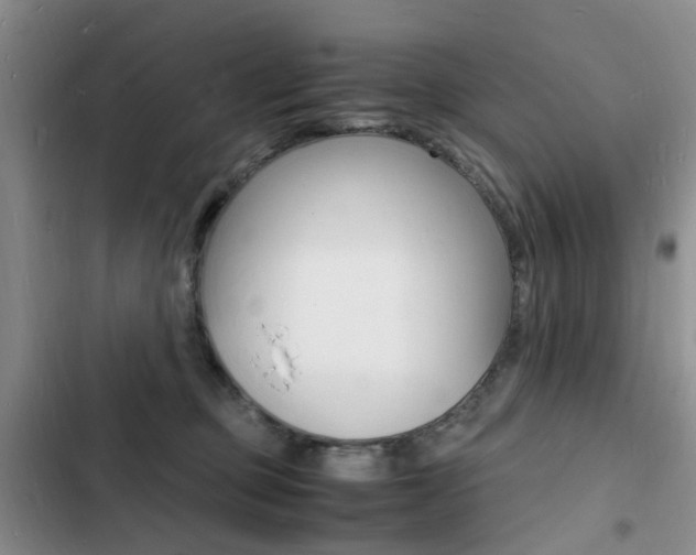 X0000103250373200808281102