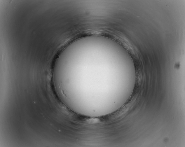X0000103250374200808281102