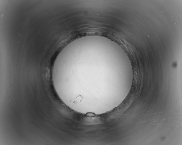 X0000103250375200808281102