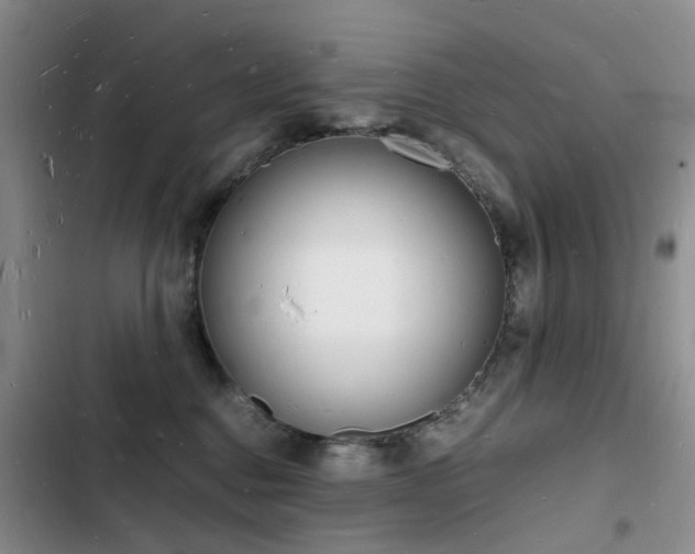 X0000103250376200808281102