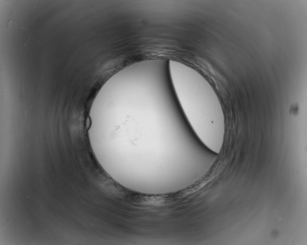 X0000103250377200808281102