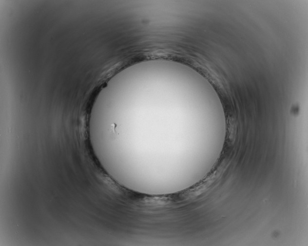 X0000103250378200808281102