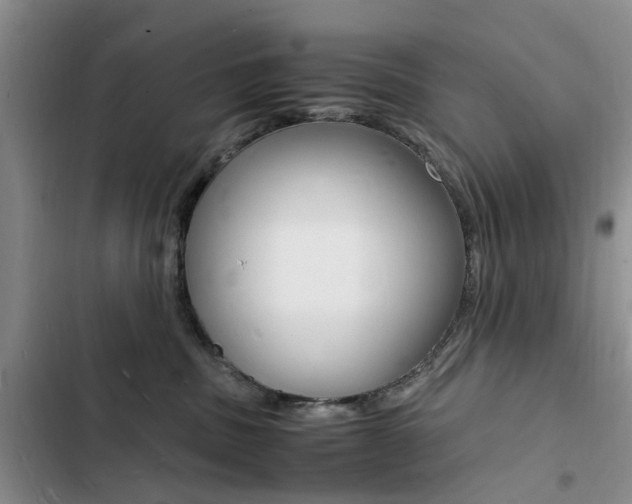 X0000103250379200808281102