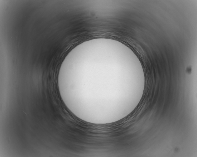 X0000103250380200808281102