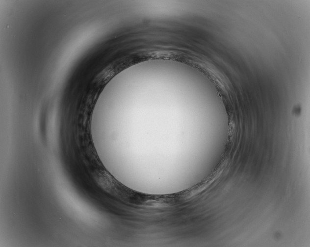 X0000103250381200808281102