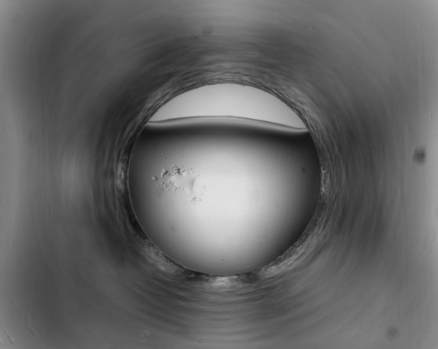 X0000103250382200808281102