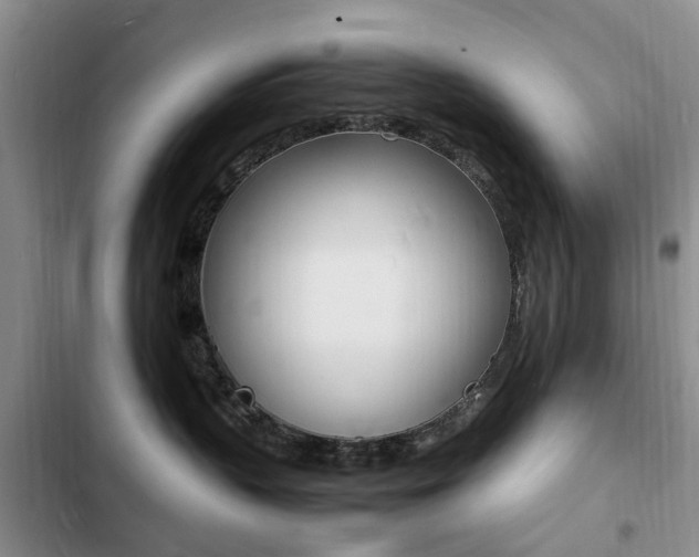X0000103250383200808281102