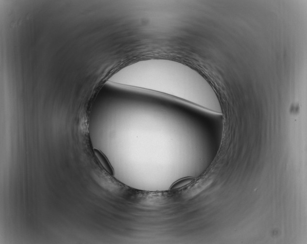 X0000103250384200808281102