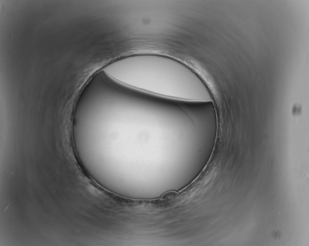 X0000103250385200808281101