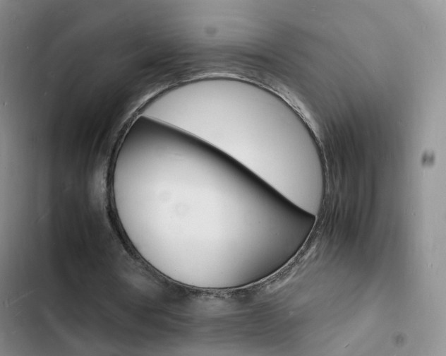 X0000103250386200808281101