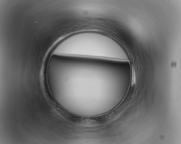 X0000103250387200808281101