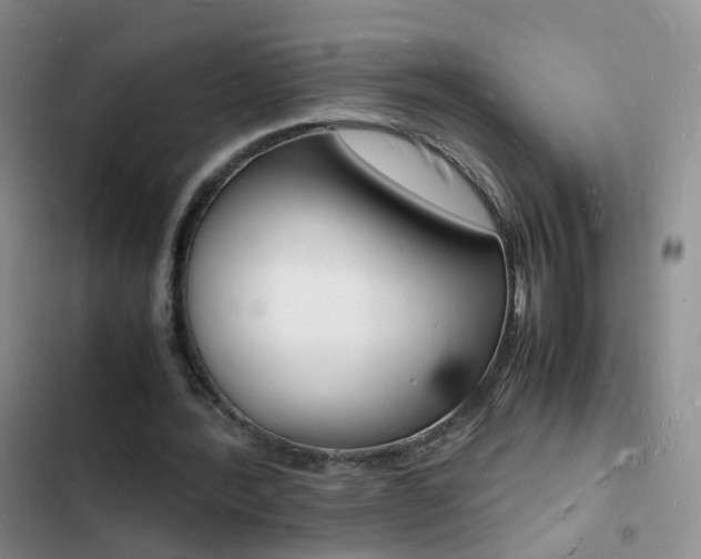 X0000103250388200808281101