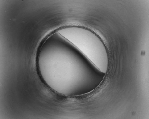 X0000103250391200808281101