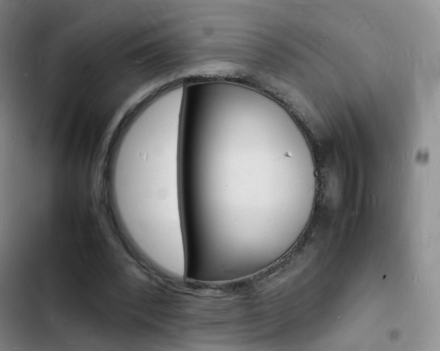 X0000103250392200808281101