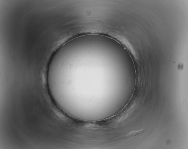 X0000103250393200808281101