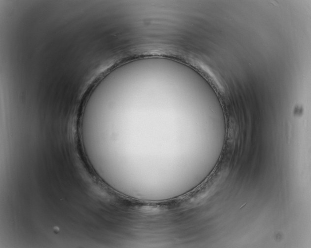 X0000103250394200808281101