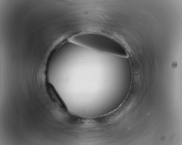 X0000103250395200808281101