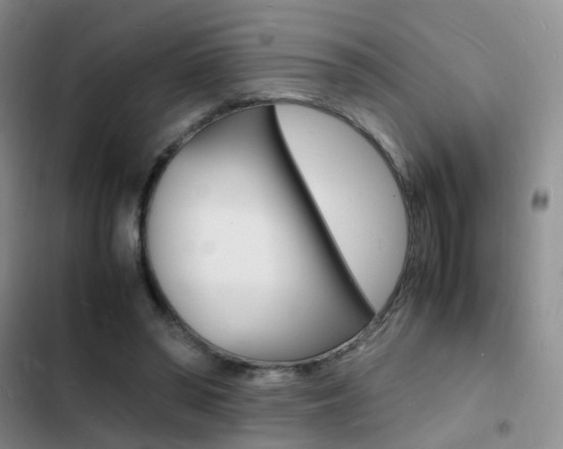 X0000103250398200808281101