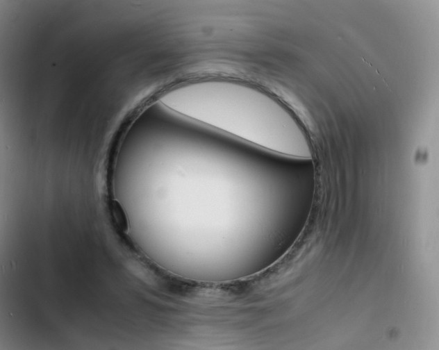 X0000103250399200808281101