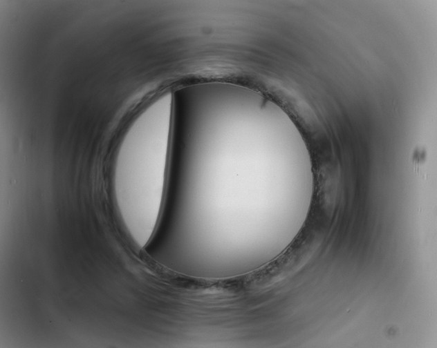 X0000103250400200808281101