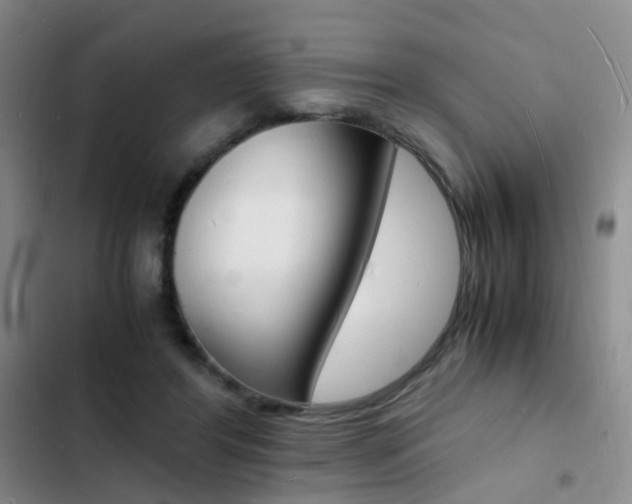 X0000103250404200808281101