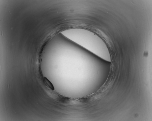 X0000103250405200808281101