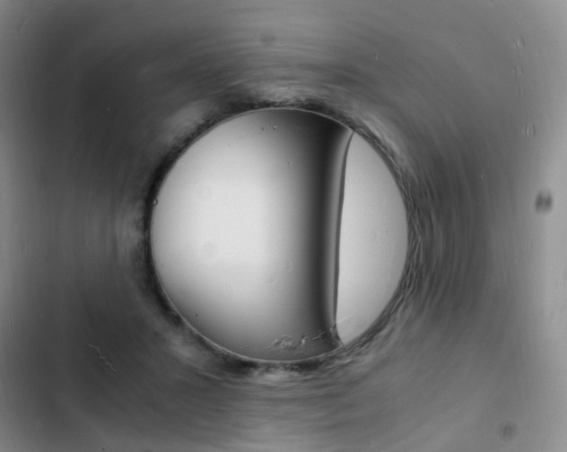 X0000103250407200808281101