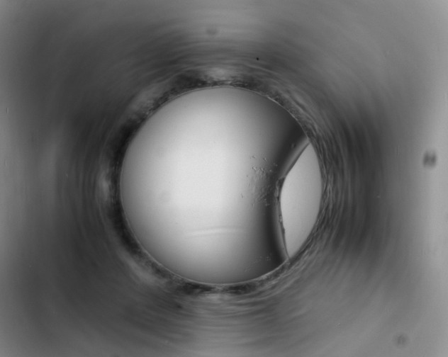 X0000103250408200808281101