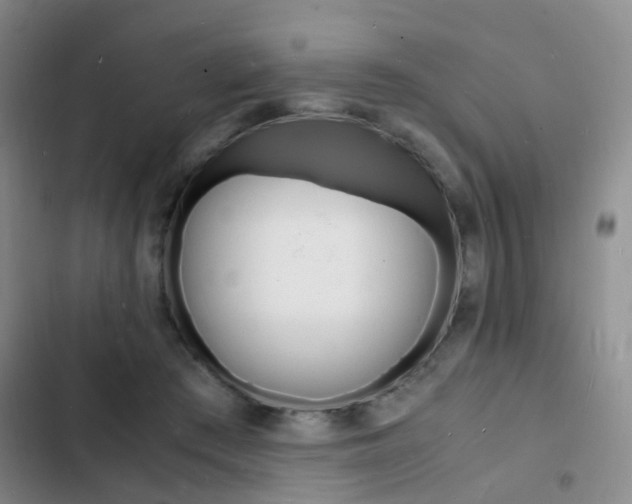 X0000103250409200808281101