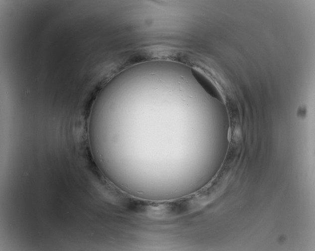 X0000103250411200808281101