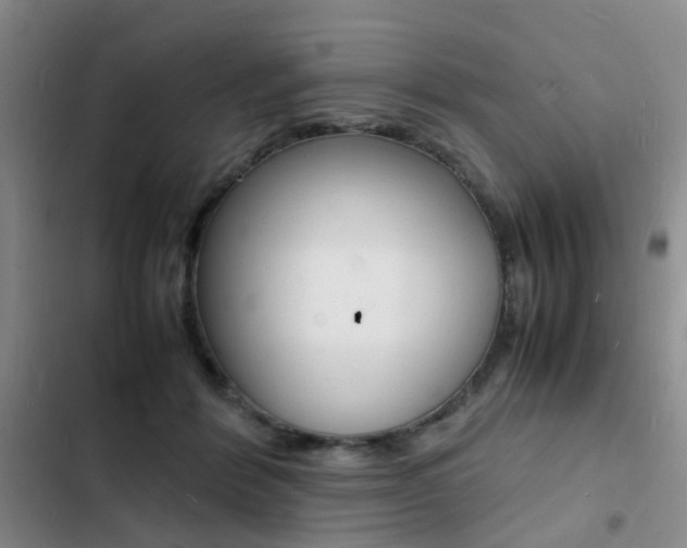 X0000103250412200808281101