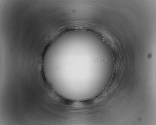X0000103250413200808281101