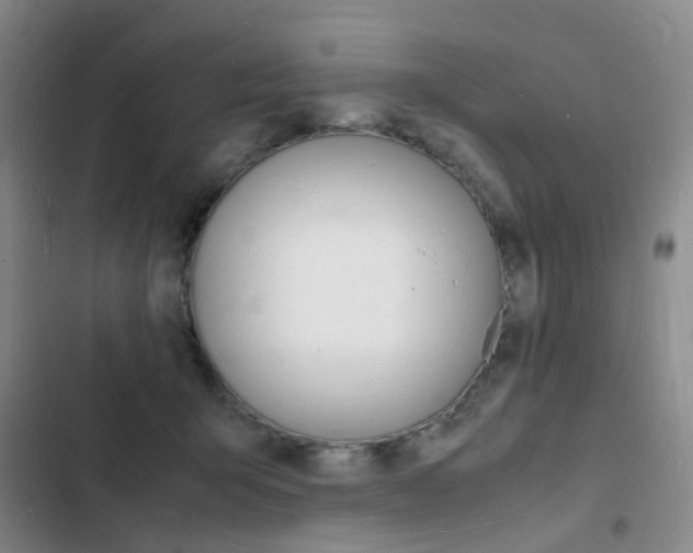 X0000103250415200808281101