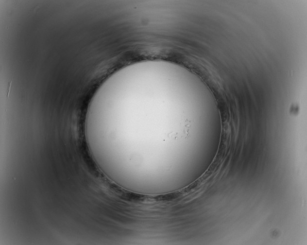 X0000103250416200808281101
