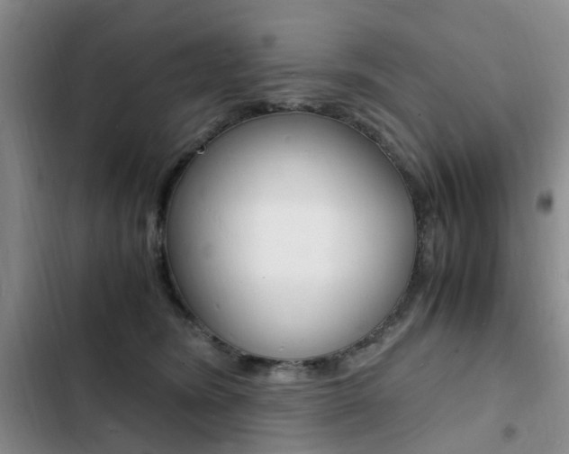 X0000103250420200808281101