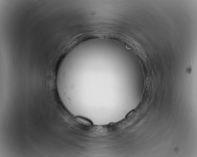 X0000103250421200808281101