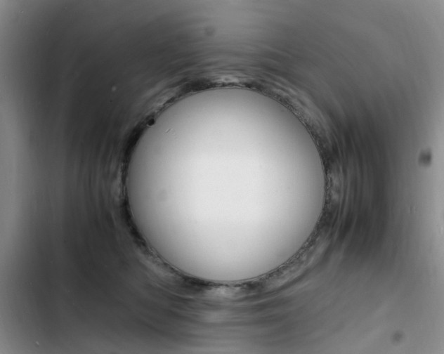 X0000103250422200808281101